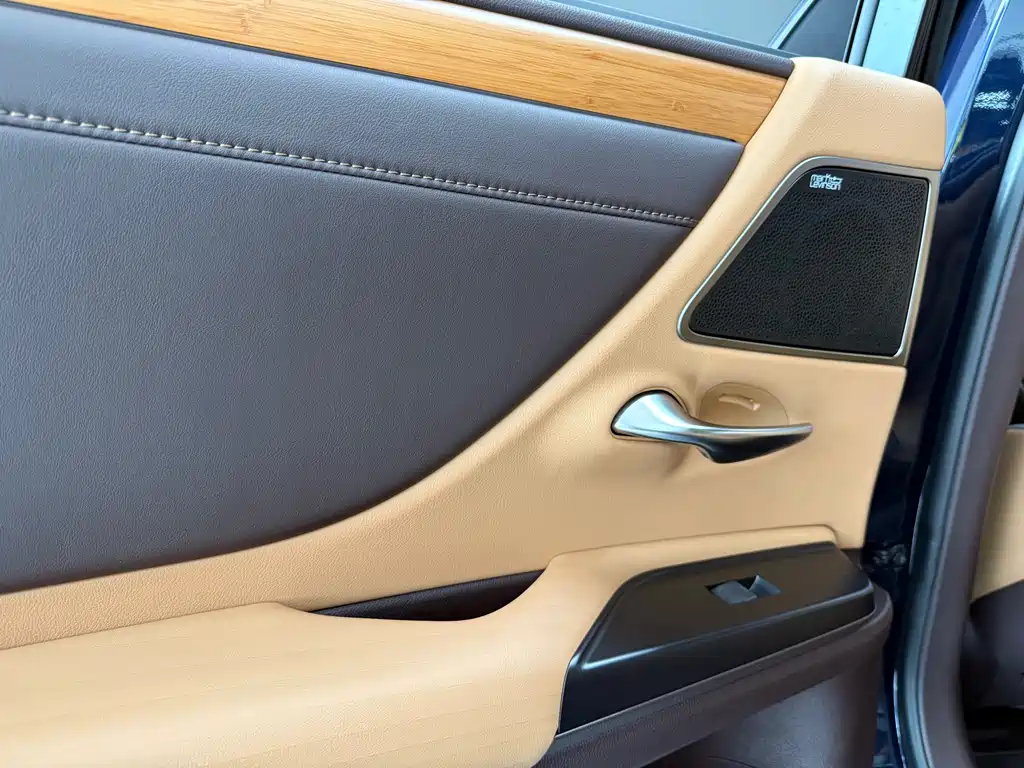 Lexus Lexus ES 300h Executive Edition 2019 - thumbnail 15