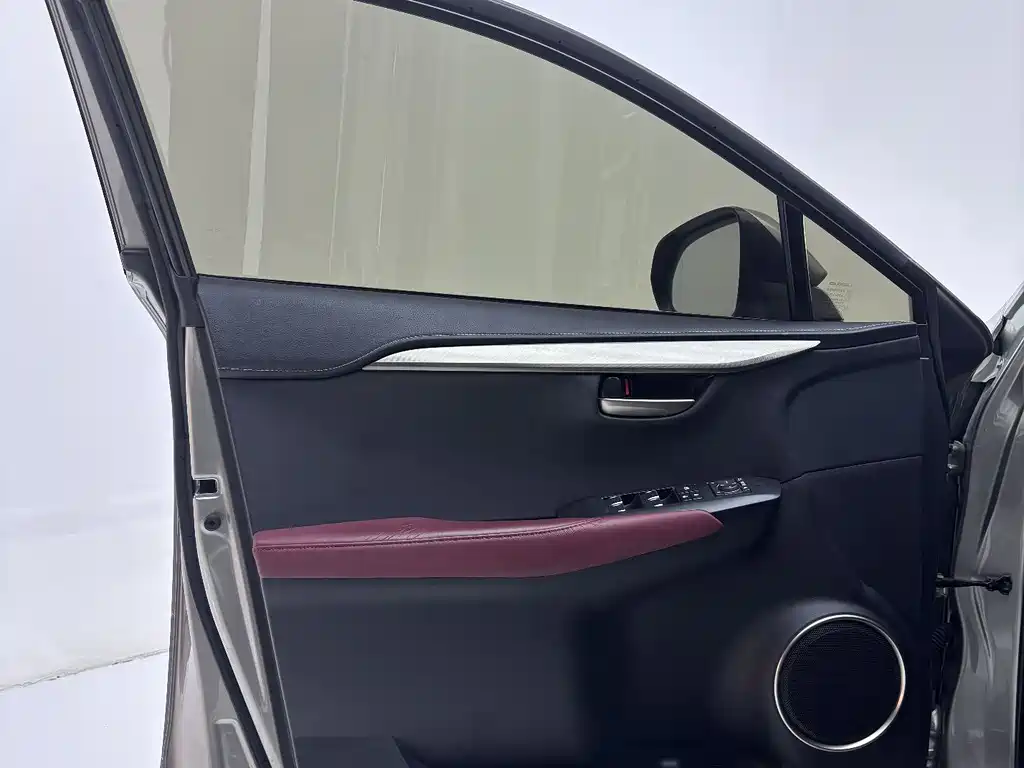 Lexus Lexus NX 200 FWD 2020 - thumbnail 10