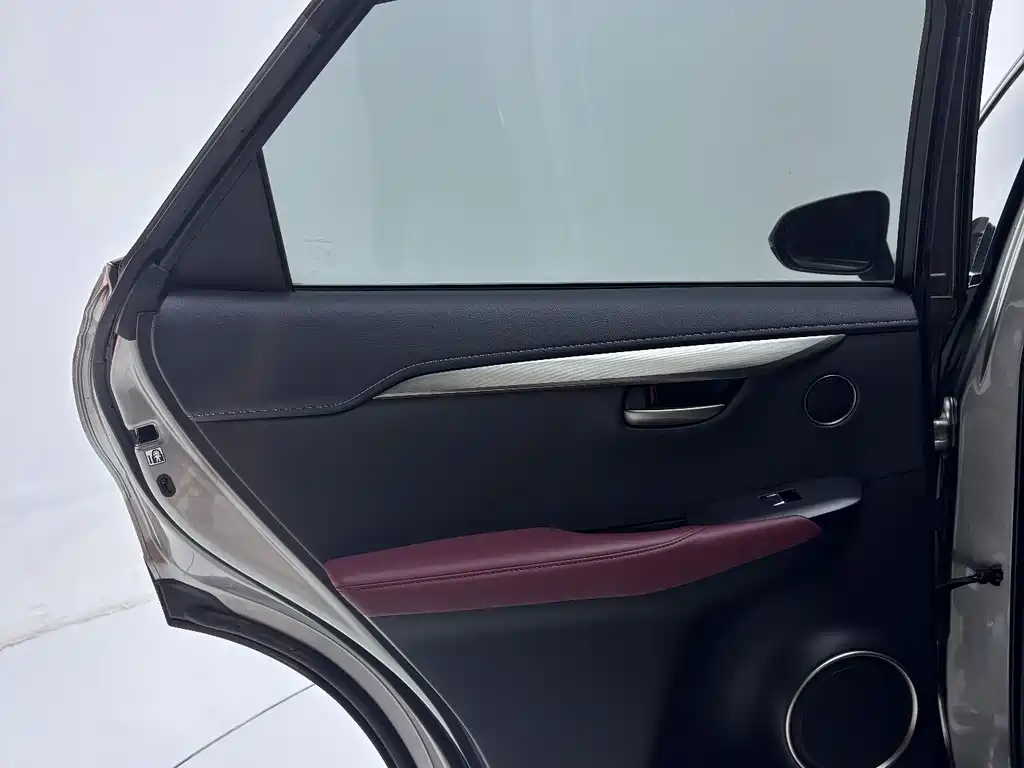 Lexus Lexus NX 200 FWD 2020 - thumbnail 19
