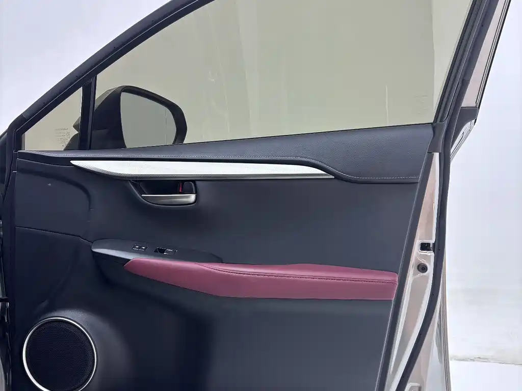 Lexus Lexus NX 200 FWD 2020 - thumbnail 24