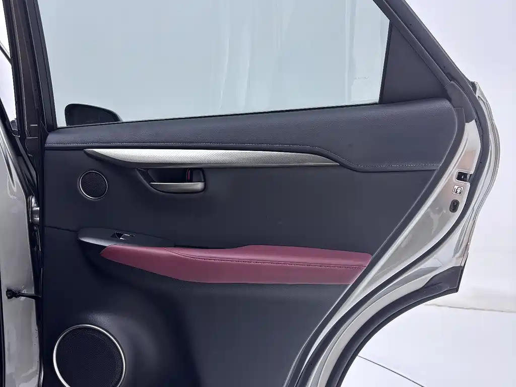 Lexus Lexus NX 200 FWD 2020 - thumbnail 27