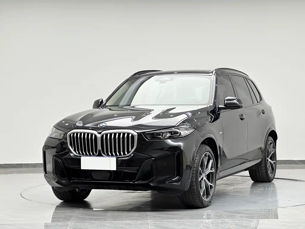 BMW BMW X5 2025 xDrive30Li M Sport Night Edition 2025 - thumbnail 9