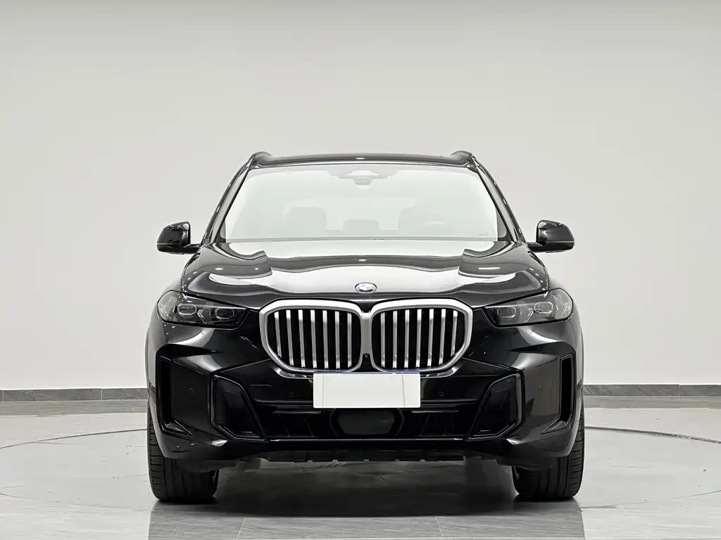 BMW BMW X5 2025 xDrive30Li M Sport Night Edition 2025 - thumbnail 10