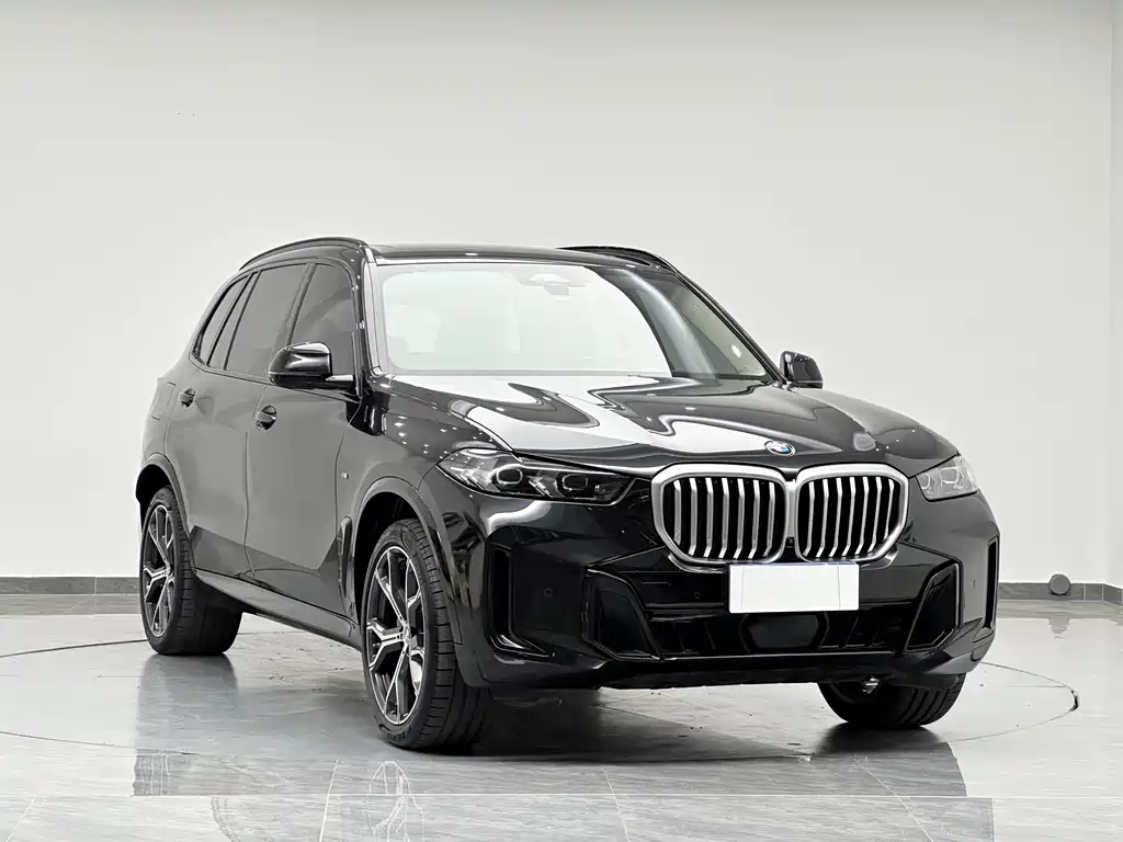 BMW BMW X5 2025 xDrive30Li M Sport Night Edition 2025 - thumbnail 11