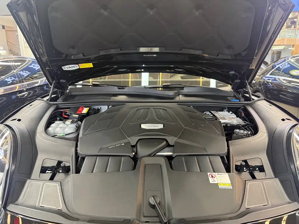 Porsche Porsche Cayenne 2023 Cayenne 3.0T Platinum Edition 2023 - thumbnail 17