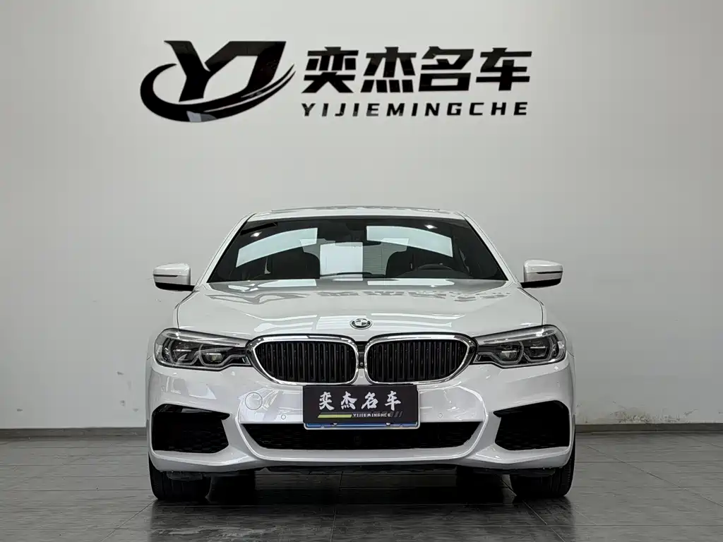 BMW BMW 5 Series 2019 530Li Exclusive M Sport Package 2019 - thumbnail 2