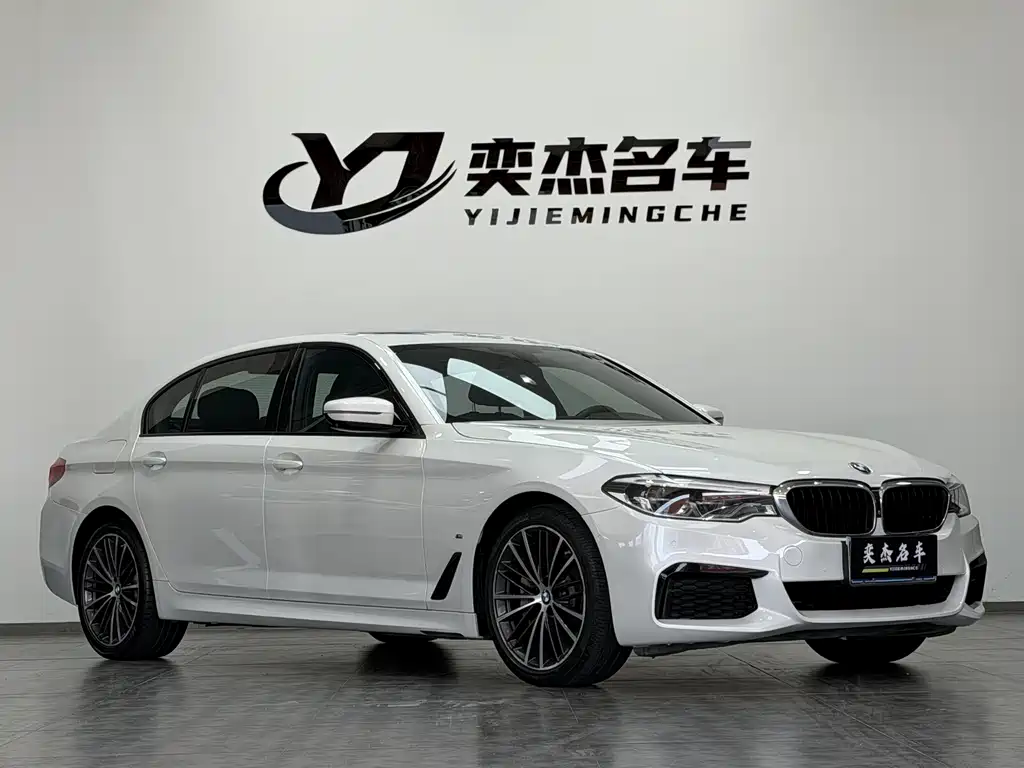 BMW BMW 5 Series 2019 530Li Exclusive M Sport Package 2019 - thumbnail 3