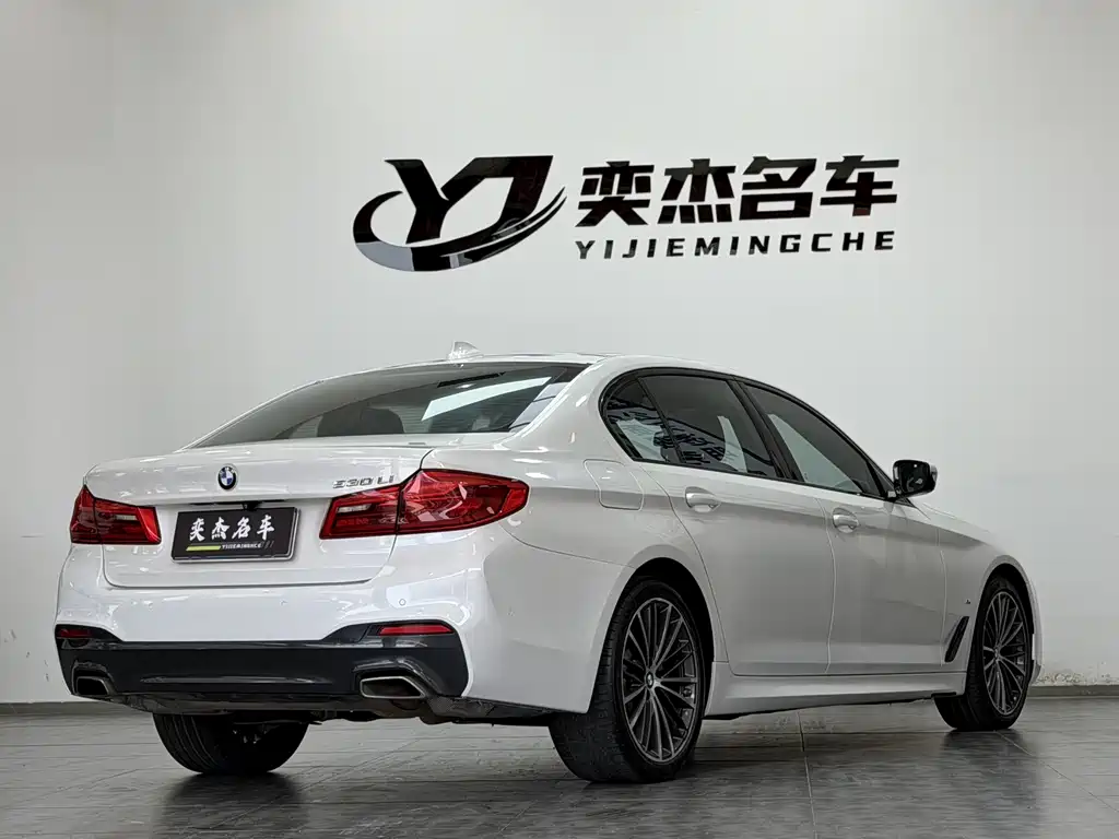 BMW BMW 5 Series 2019 530Li Exclusive M Sport Package 2019 - thumbnail 10