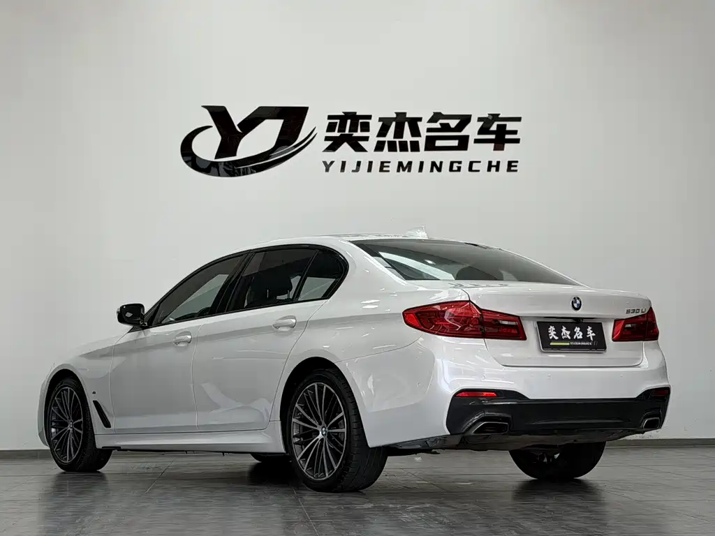 BMW BMW 5 Series 2019 530Li Exclusive M Sport Package 2019 - thumbnail 11