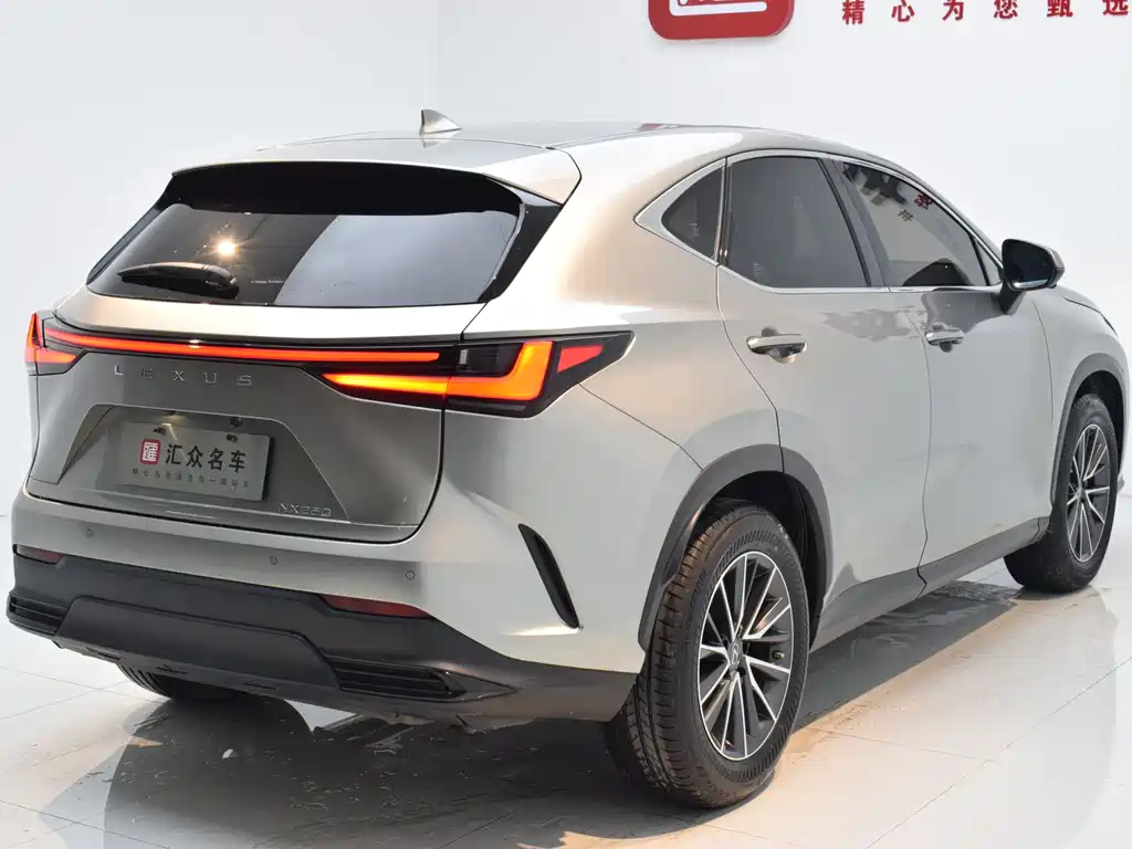 Lexus Lexus NX 2022 260 FWD Creative Edition 2022 - thumbnail 22