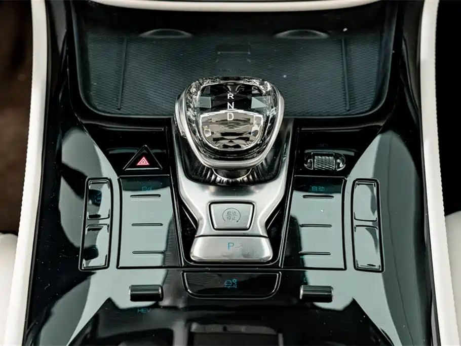 Denza Denza D9 2024 DM-i 980 AWD Flagship 2024 - thumbnail 15
