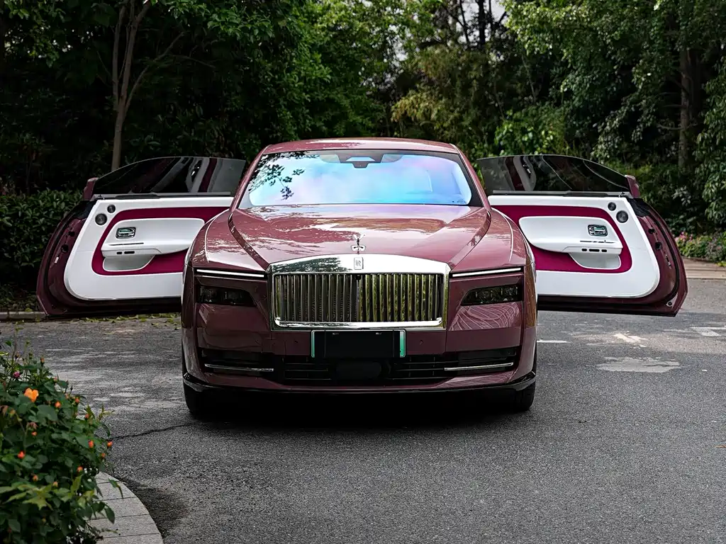 Rolls-Royce Rolls-Royce Spectre 2024 Standard 2025 - thumbnail 8