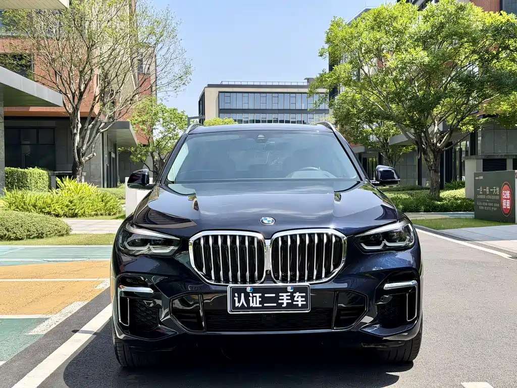 BMW BMW X5 2022 xDrive30Li M Sport Package 2022 - thumbnail 2