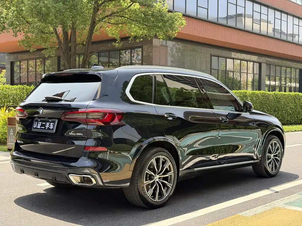 BMW BMW X5 2022 xDrive30Li M Sport Package 2022 - thumbnail 6