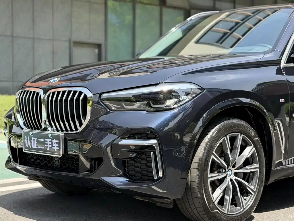 BMW BMW X5 2022 xDrive30Li M Sport Package 2022 - thumbnail 9