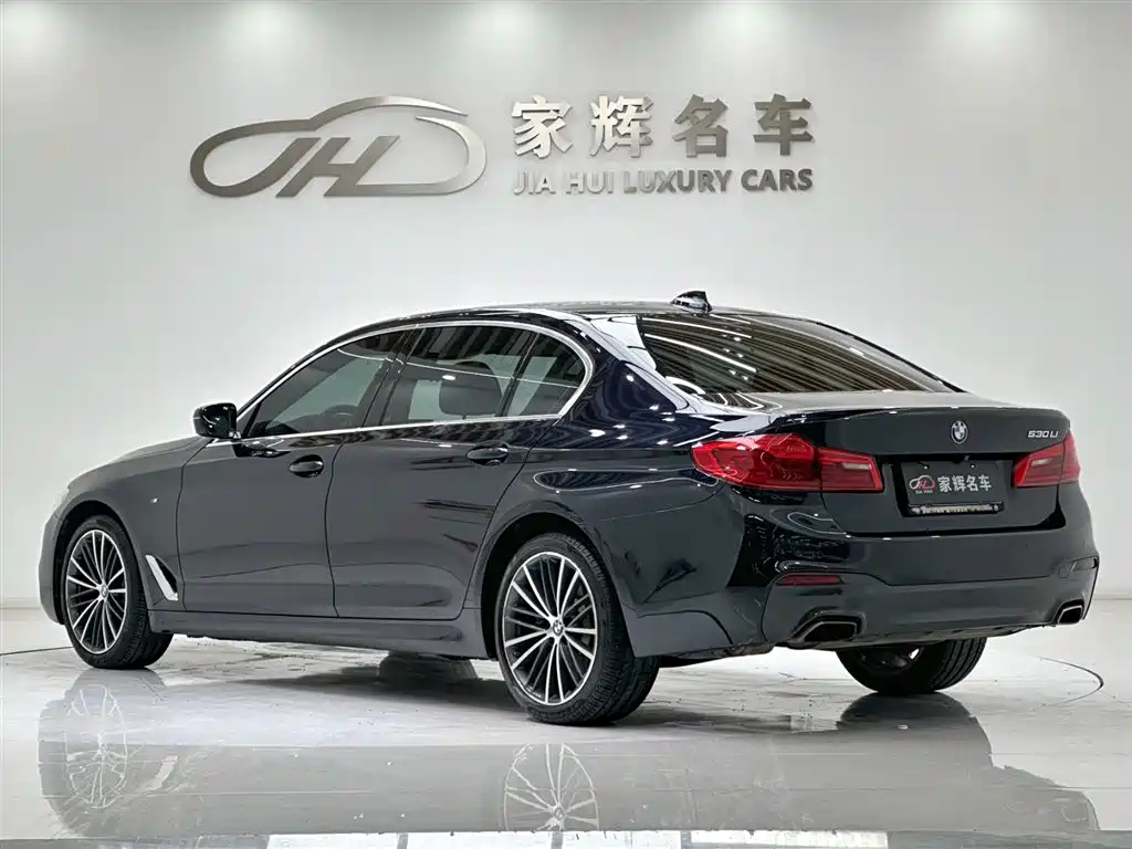 BMW BMW 5 Series 2020 530Li Leading Edition M Sport Package 2020 - thumbnail 5
