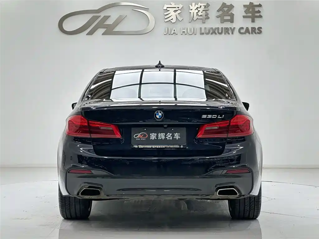 BMW BMW 5 Series 2020 530Li Leading Edition M Sport Package 2020 - thumbnail 6