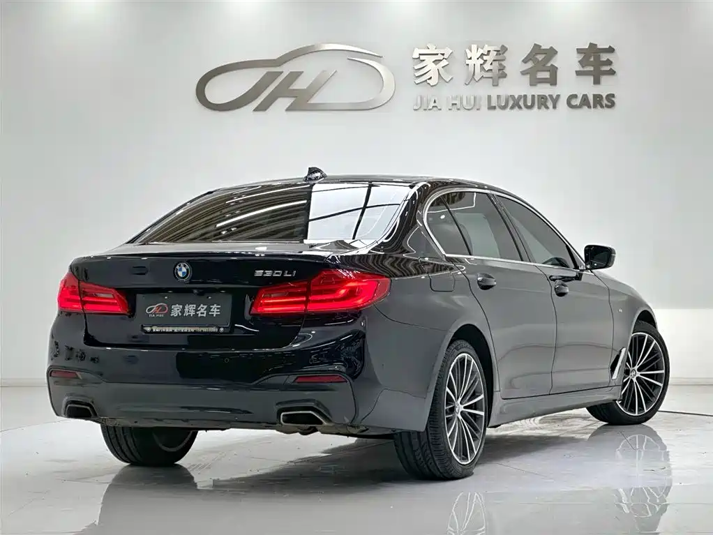 BMW BMW 5 Series 2020 530Li Leading Edition M Sport Package 2020 - thumbnail 7