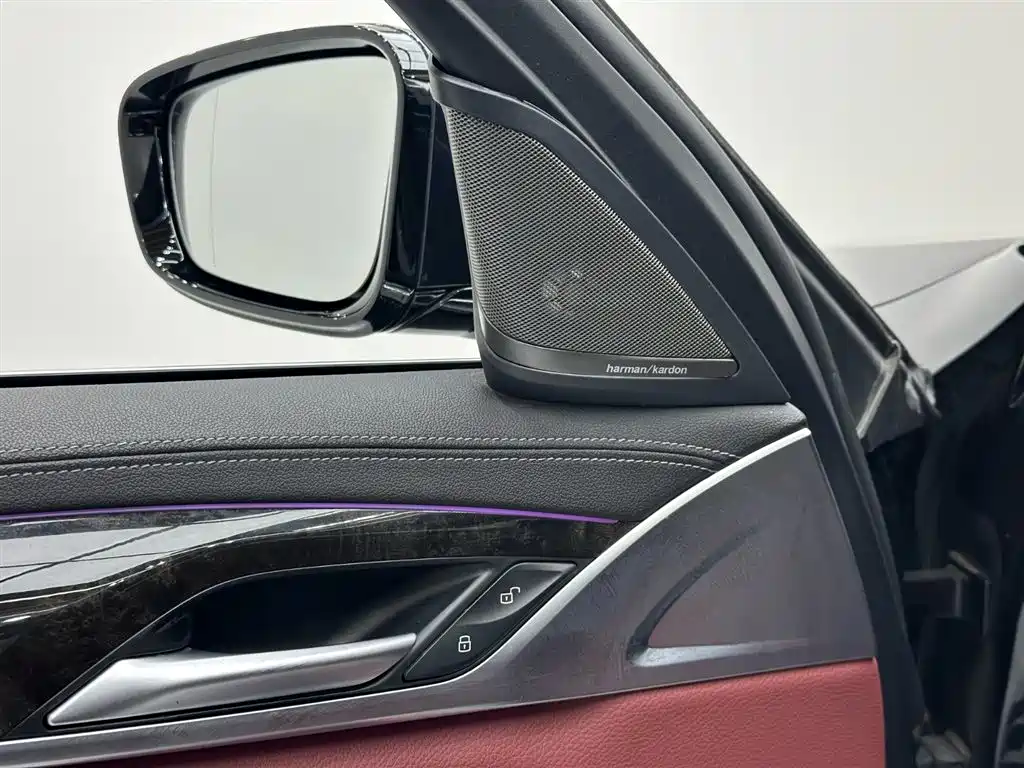 BMW BMW 5 Series 2020 530Li Leading Edition M Sport Package 2020 - thumbnail 15