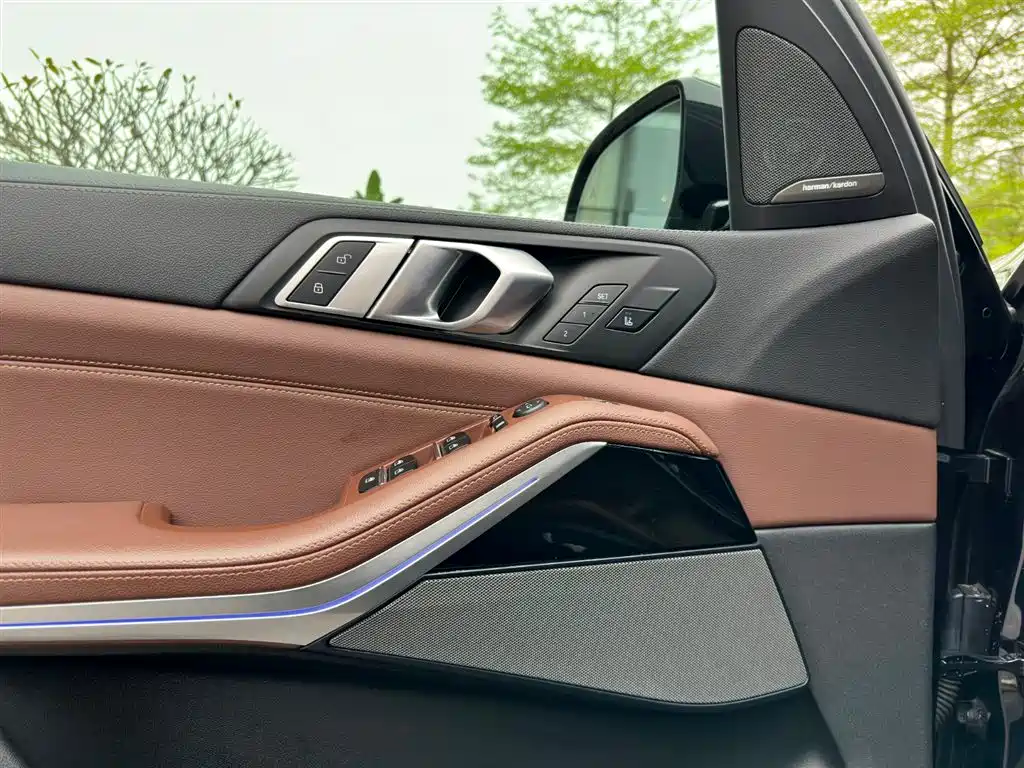 BMW BMW X5 2019 xDrive40i M Sport Package Canadian Version 2020 - thumbnail 17