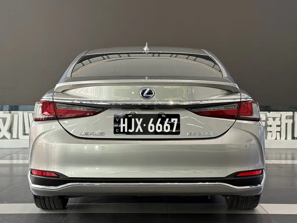 Lexus Lexus ES 2018 300h Exclusive Edition China VI 2019 - thumbnail 6