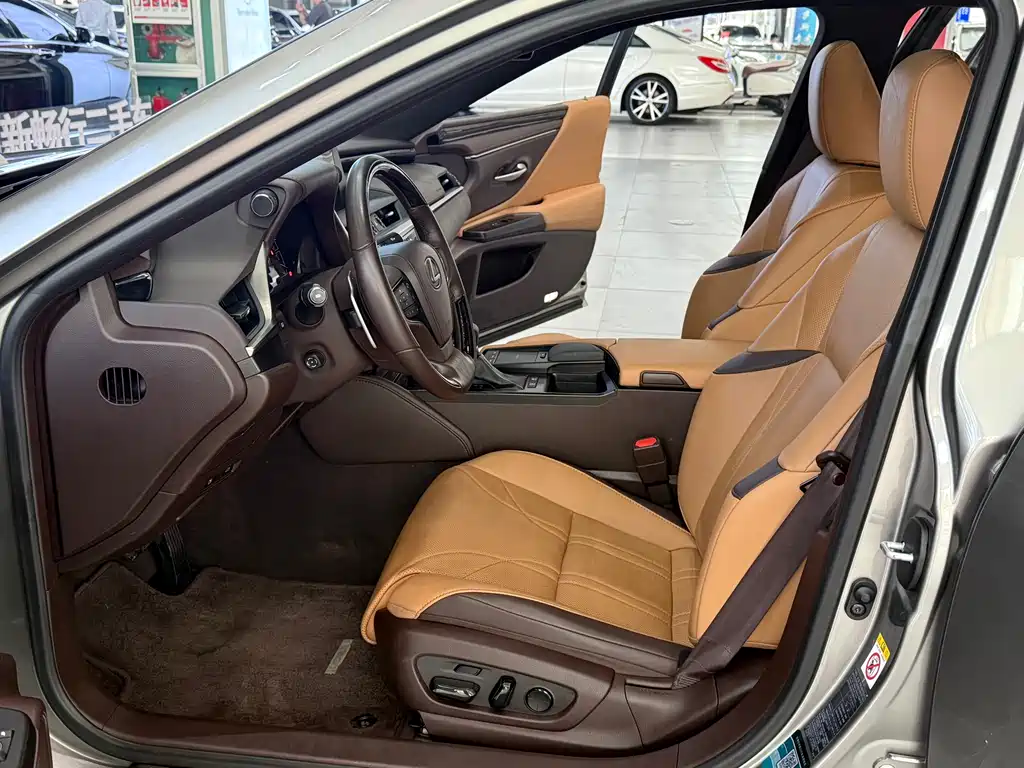 Lexus Lexus ES 2018 300h Exclusive Edition China VI 2019 - thumbnail 8