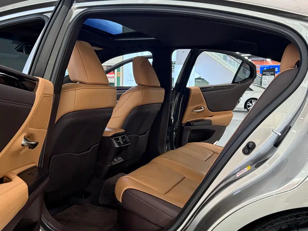 Lexus Lexus ES 2018 300h Exclusive Edition China VI 2019 - thumbnail 9