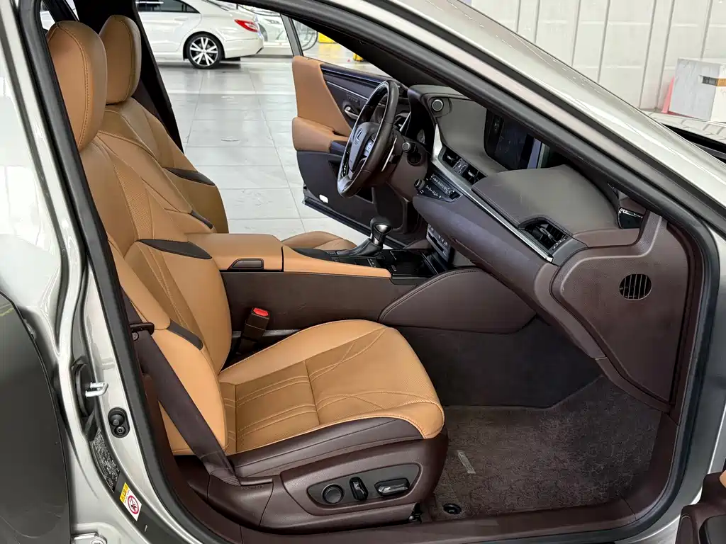 Lexus Lexus ES 2018 300h Exclusive Edition China VI 2019 - thumbnail 11