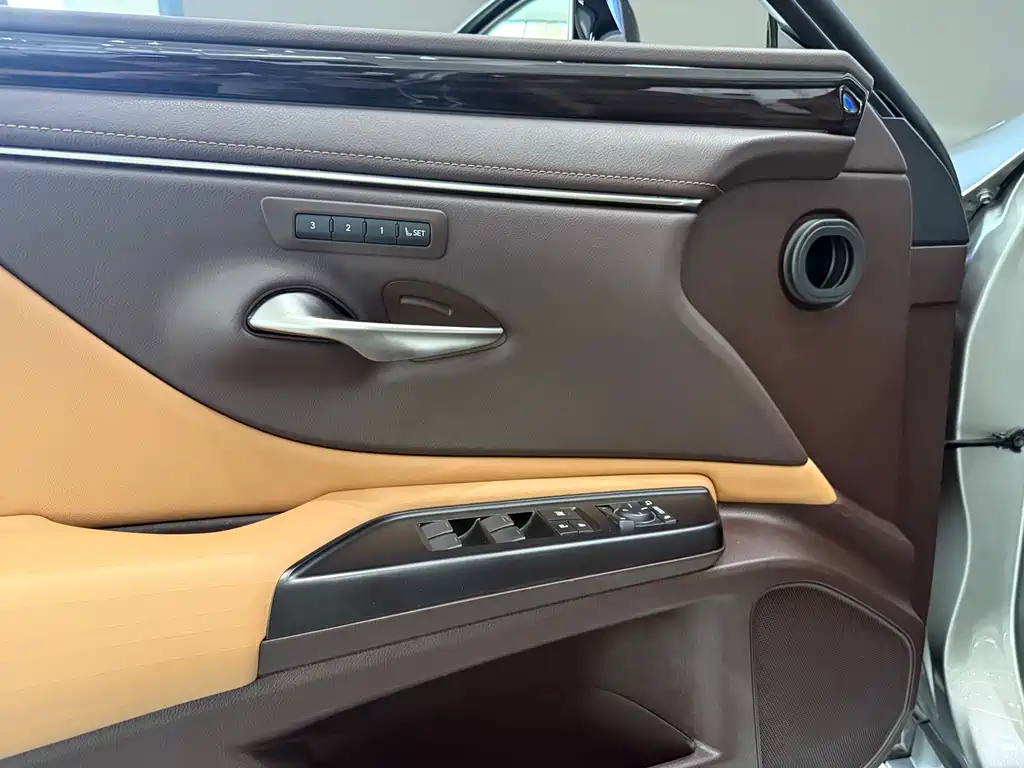 Lexus Lexus ES 2018 300h Exclusive Edition China VI 2019 - thumbnail 14
