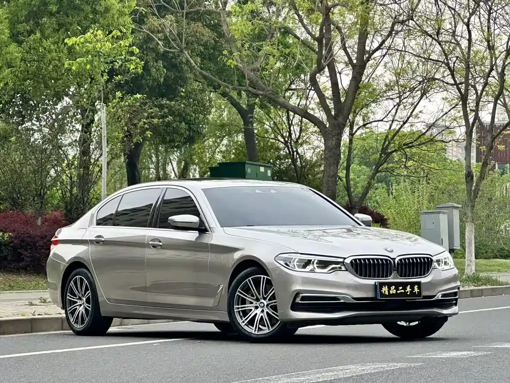 BMW BMW 5 Series 2019 530Li Exclusive Luxury Package 2019 - thumbnail 2