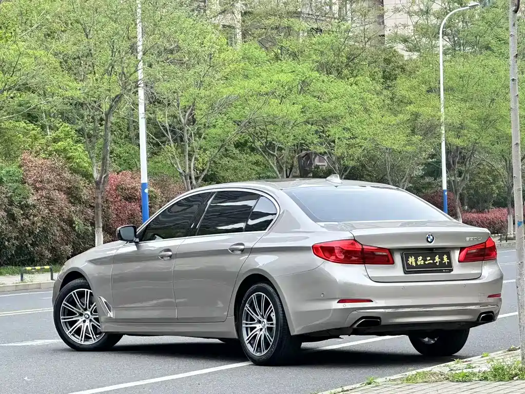 BMW BMW 5 Series 2019 530Li Exclusive Luxury Package 2019 - thumbnail 3