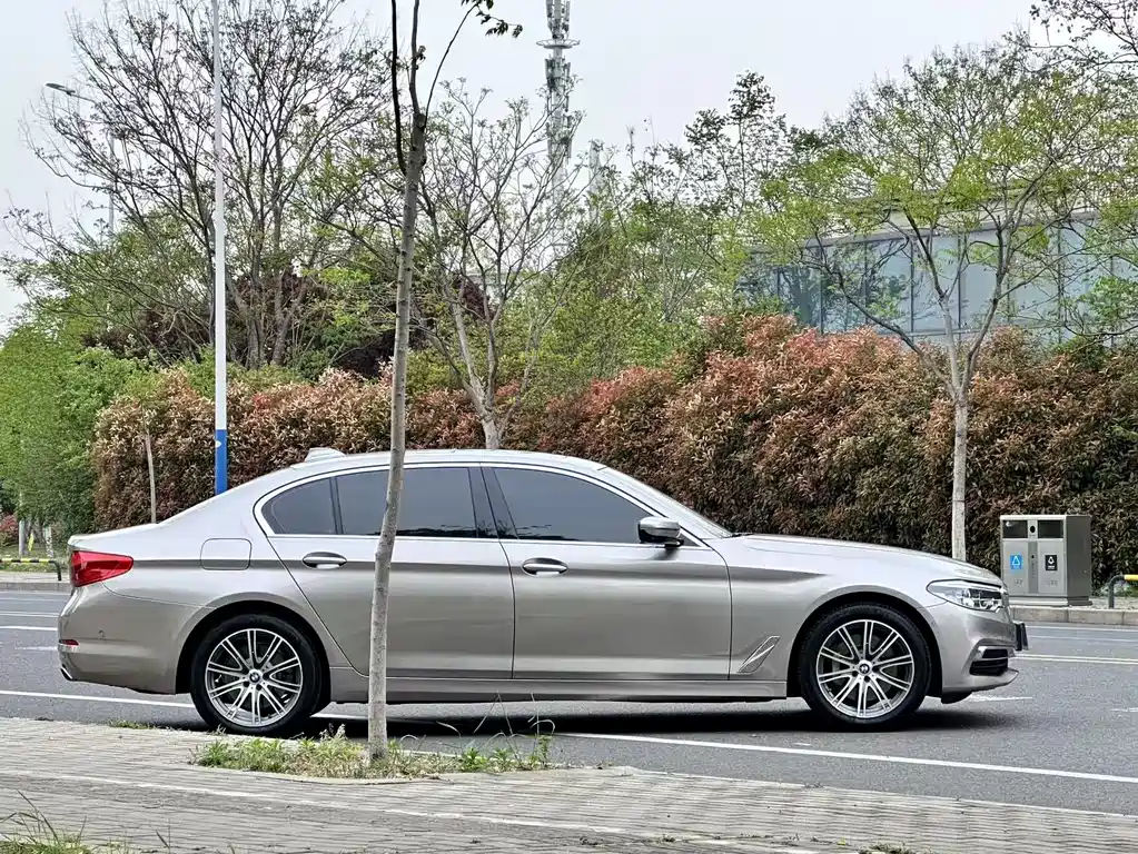 BMW BMW 5 Series 2019 530Li Exclusive Luxury Package 2019 - thumbnail 4