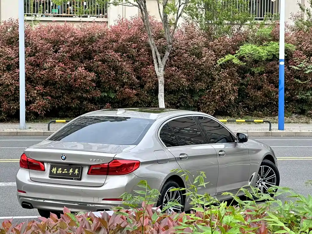 BMW BMW 5 Series 2019 530Li Exclusive Luxury Package 2019 - thumbnail 5