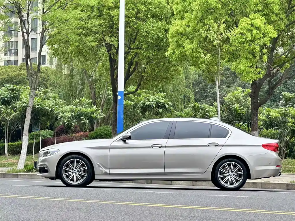 BMW BMW 5 Series 2019 530Li Exclusive Luxury Package 2019 - thumbnail 6