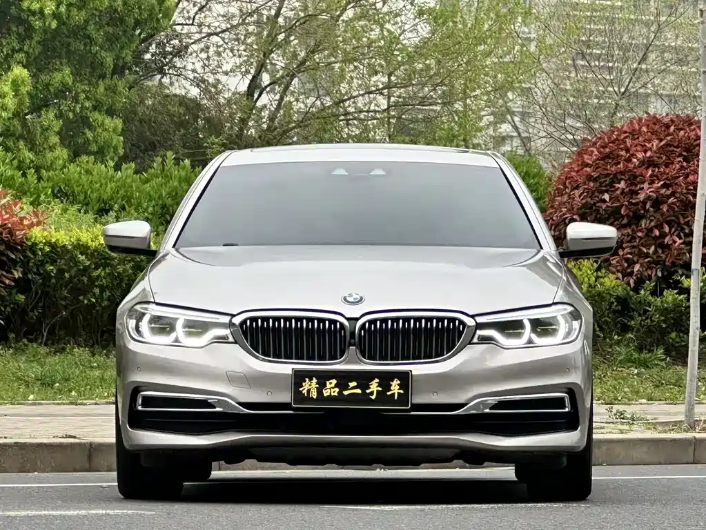BMW BMW 5 Series 2019 530Li Exclusive Luxury Package 2019 - thumbnail 7
