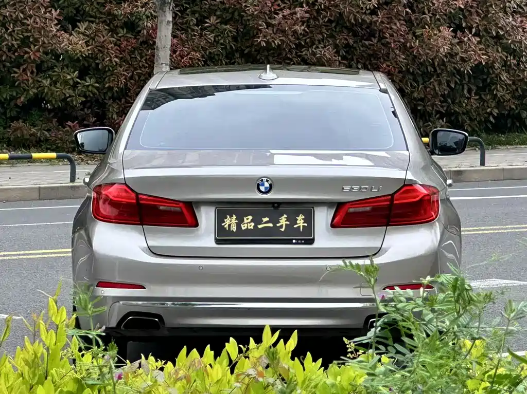 BMW BMW 5 Series 2019 530Li Exclusive Luxury Package 2019 - thumbnail 8