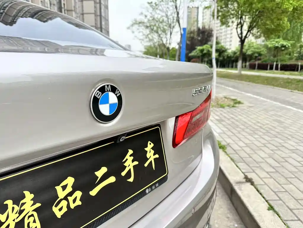 BMW BMW 5 Series 2019 530Li Exclusive Luxury Package 2019 - thumbnail 9
