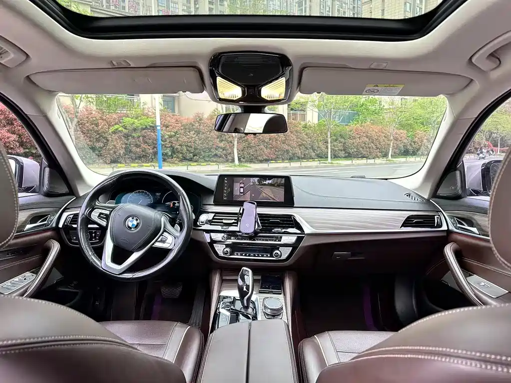 BMW BMW 5 Series 2019 530Li Exclusive Luxury Package 2019 - thumbnail 13