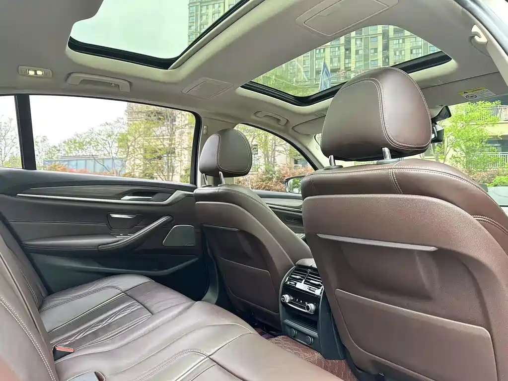 BMW BMW 5 Series 2019 530Li Exclusive Luxury Package 2019 - thumbnail 14