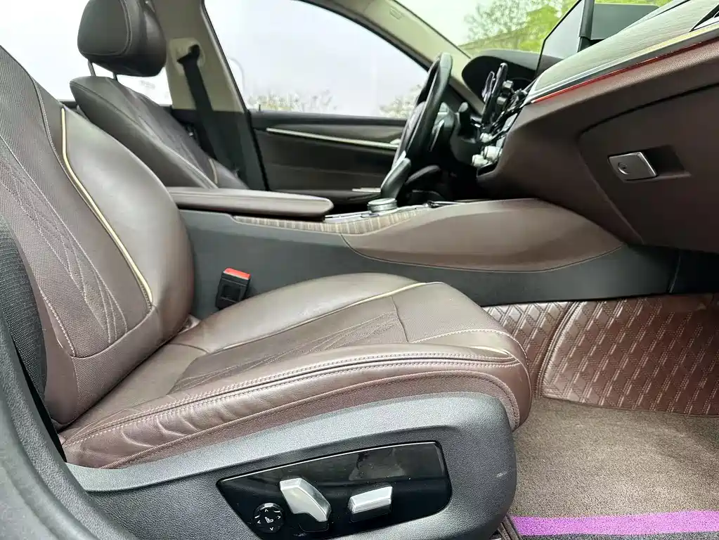 BMW BMW 5 Series 2019 530Li Exclusive Luxury Package 2019 - thumbnail 15