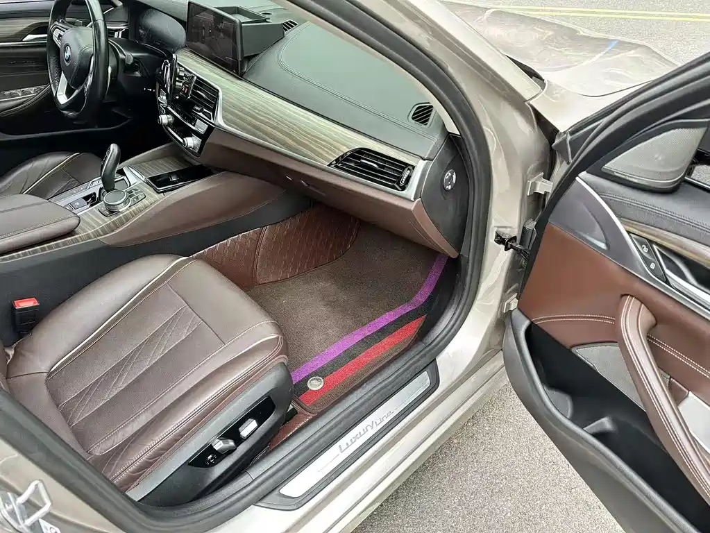 BMW BMW 5 Series 2019 530Li Exclusive Luxury Package 2019 - thumbnail 16