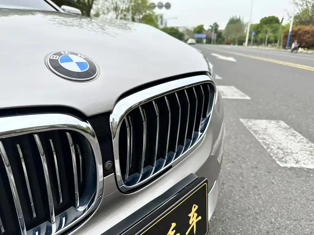 BMW BMW 5 Series 2019 530Li Exclusive Luxury Package 2019 - thumbnail 17