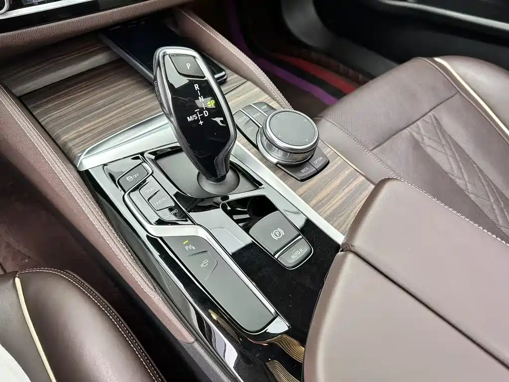 BMW BMW 5 Series 2019 530Li Exclusive Luxury Package 2019 - thumbnail 18