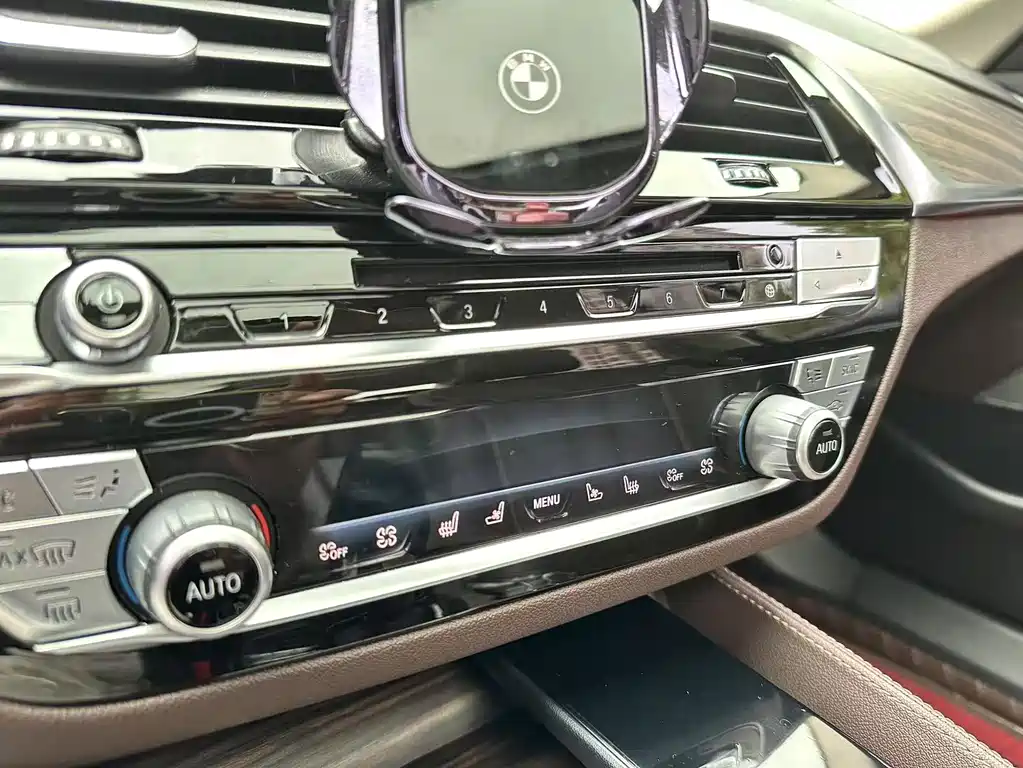 BMW BMW 5 Series 2019 530Li Exclusive Luxury Package 2019 - thumbnail 20