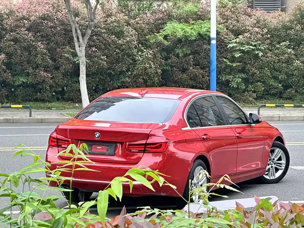 BMW BMW 3 Series 2017 320Li Fashion Edition 2017 - thumbnail 6