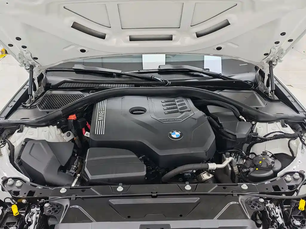 BMW BMW 3 Series 2022 320Li M Sport Package 2022 - thumbnail 18