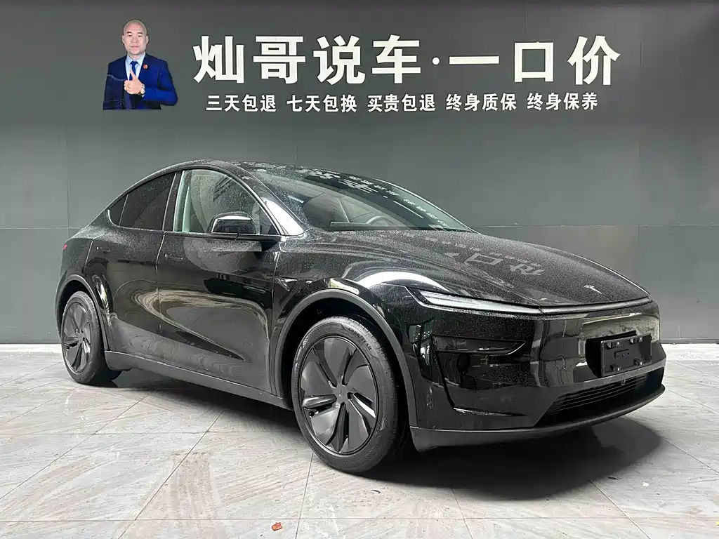 Tesla Tesla Model Y 2025 Rear-Wheel Drive Launch Edition 2025 - thumbnail 3