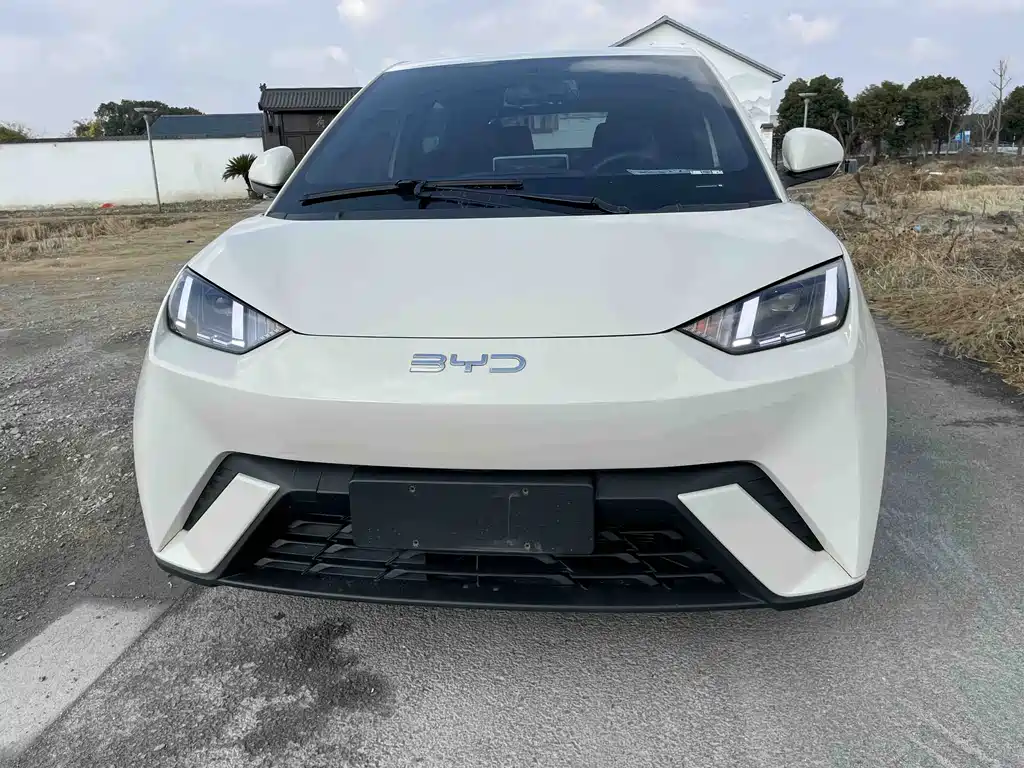 BYD Seagull 2024 Glory Edition 405km Flying Edition 2024 - thumbnail 2