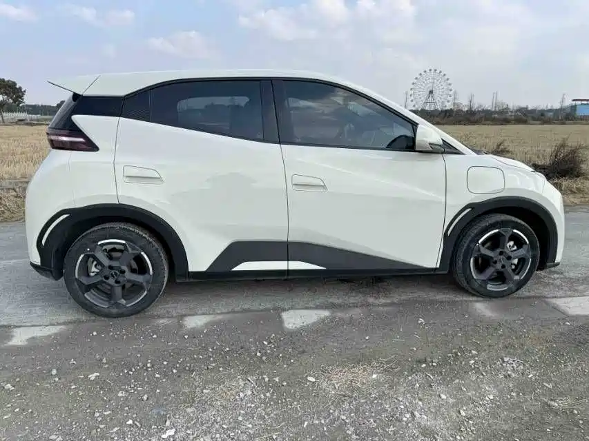 BYD Seagull 2024 Glory Edition 405km Flying Edition 2024 - thumbnail 6