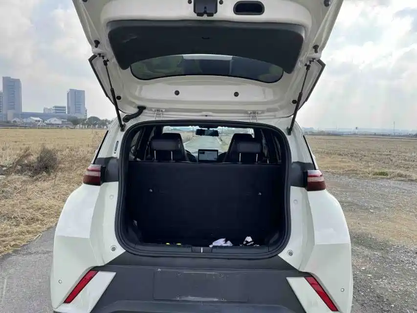 BYD Seagull 2024 Glory Edition 405km Flying Edition 2024 - thumbnail 7